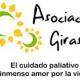girasol girasol